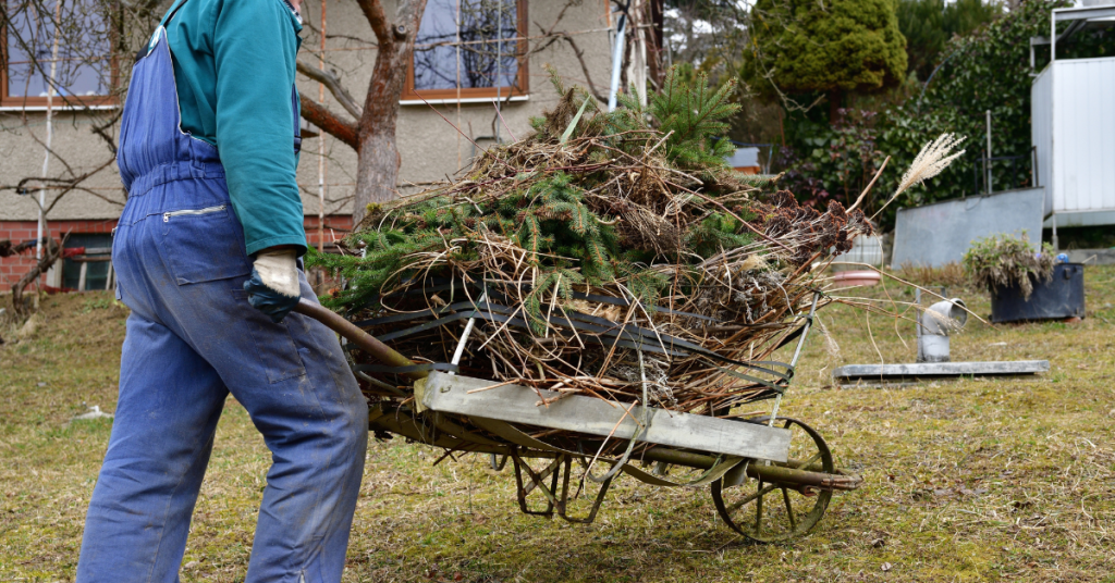 yard waste dumpster rental